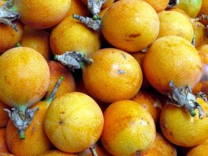 fruits exotiques colombiens granadilla