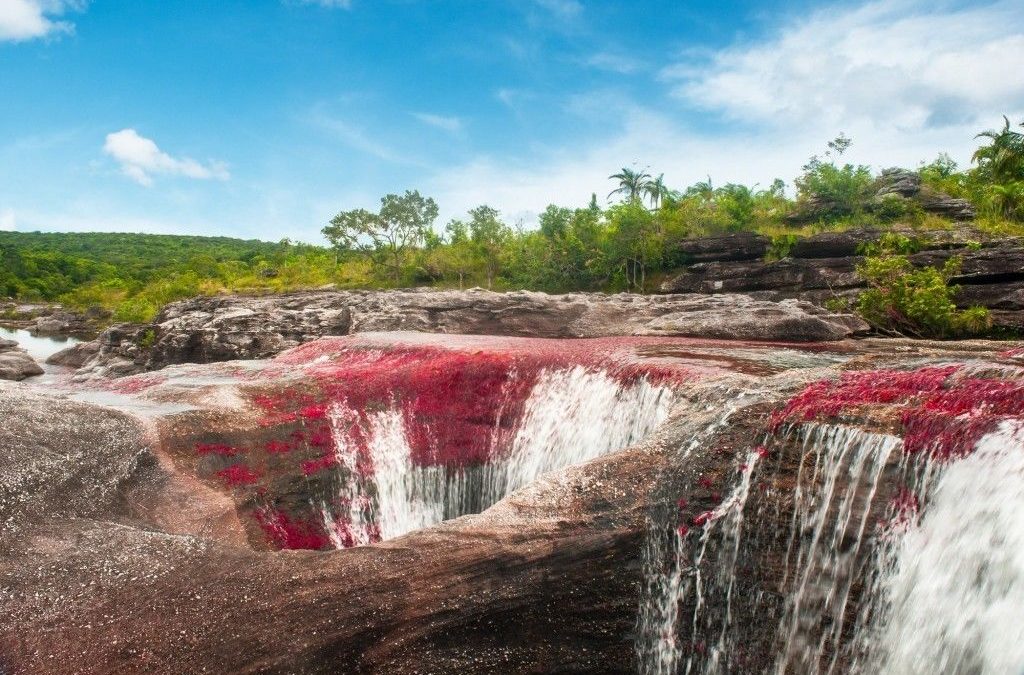 Caño Cristales, la rivière aux cinq couleurs