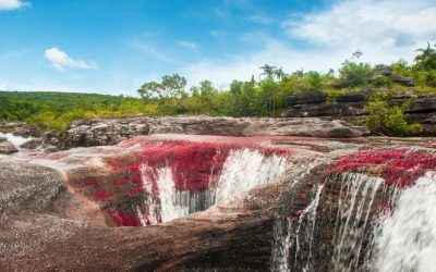 caño cristales