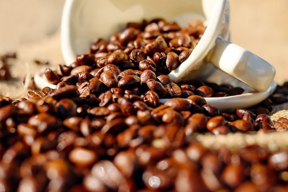 Le Cafe Colombien Est il Le Meilleur Du Monde Magelia Colombie
