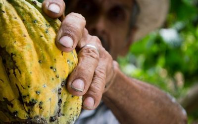Pourquoi partir avec une agence de voyage locale en Colombie ?