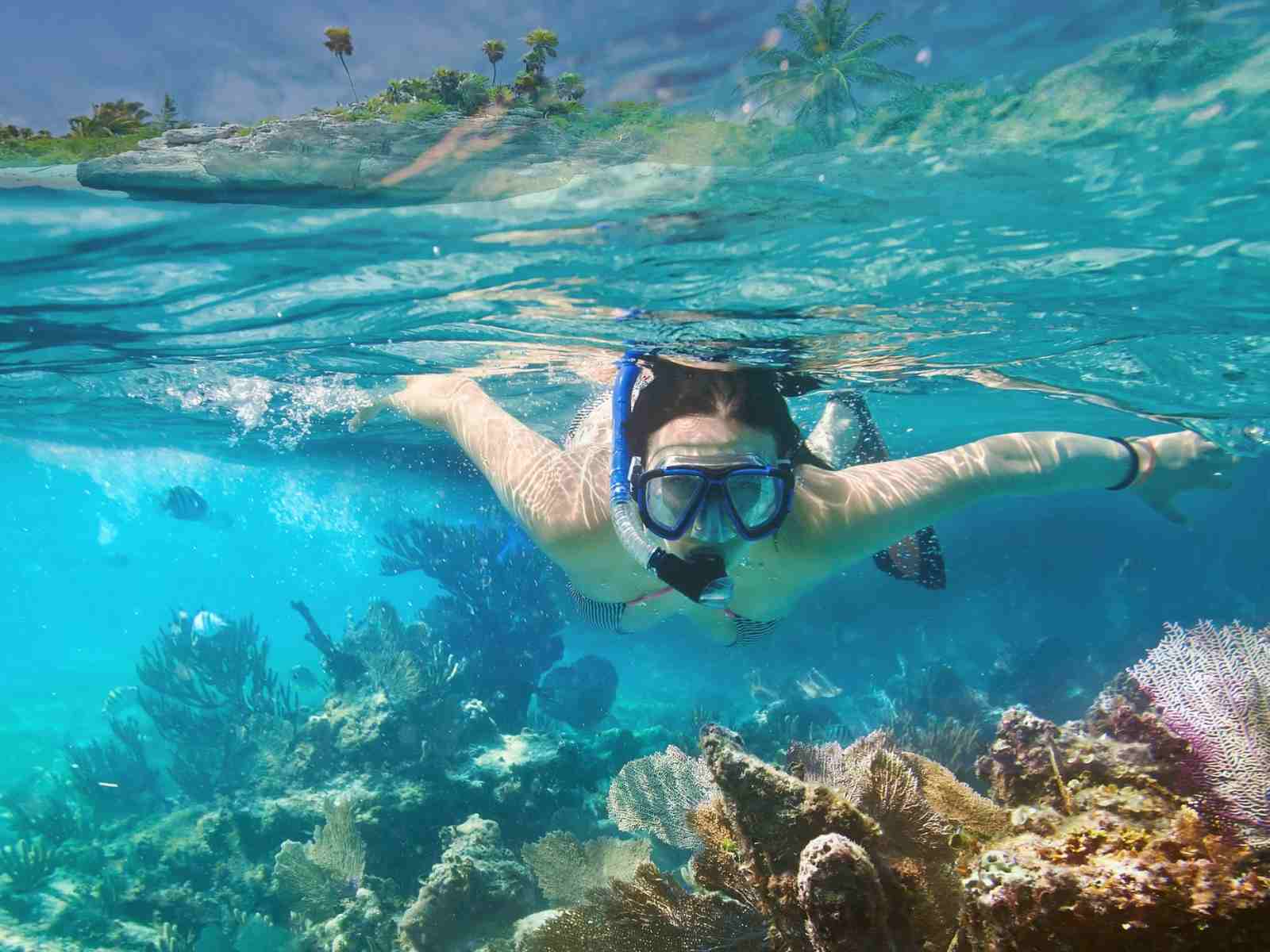 snorkel