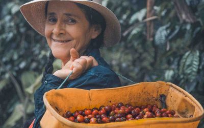 Nos plus belles expériences gastronomiques
