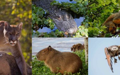 Top 10 des expériences de voyage en famille en Colombie