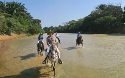 Réserver Safari Guanapalo Colombie