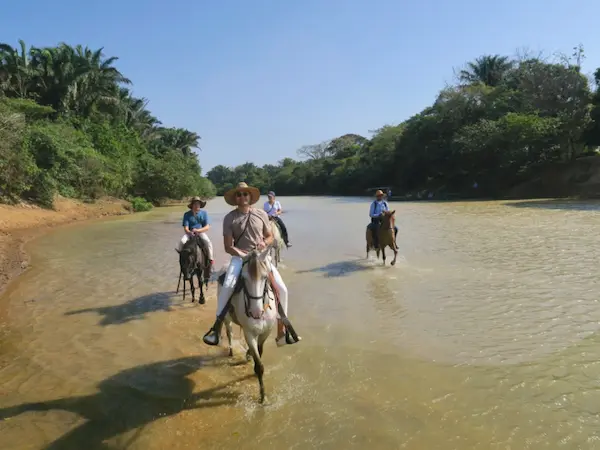 Réserver Safari Guanapalo Colombie