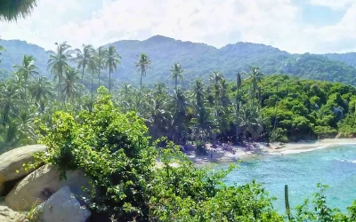 Parc Tayrona : tout ce qu’il faut savoir avant de partir
