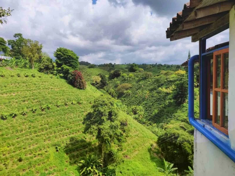 Colombie incontournables region du cafe
