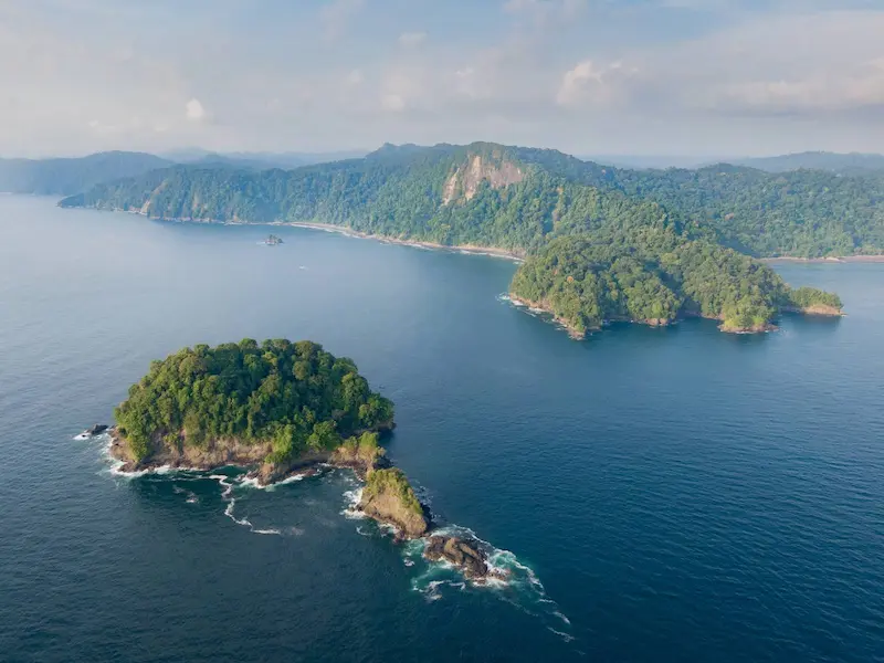 Circuit animaux exotiques en Colombie - Pacifique
