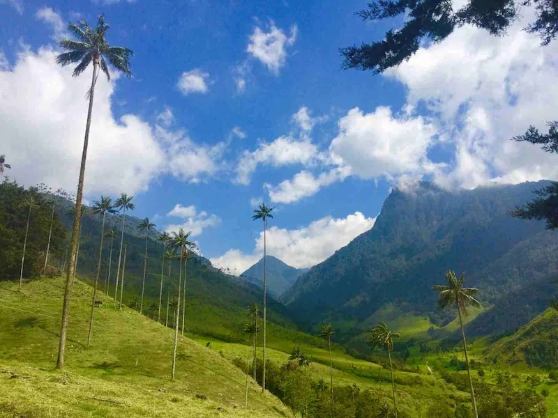 Circuit organisé joyaux cachés de la Colombie - cocora