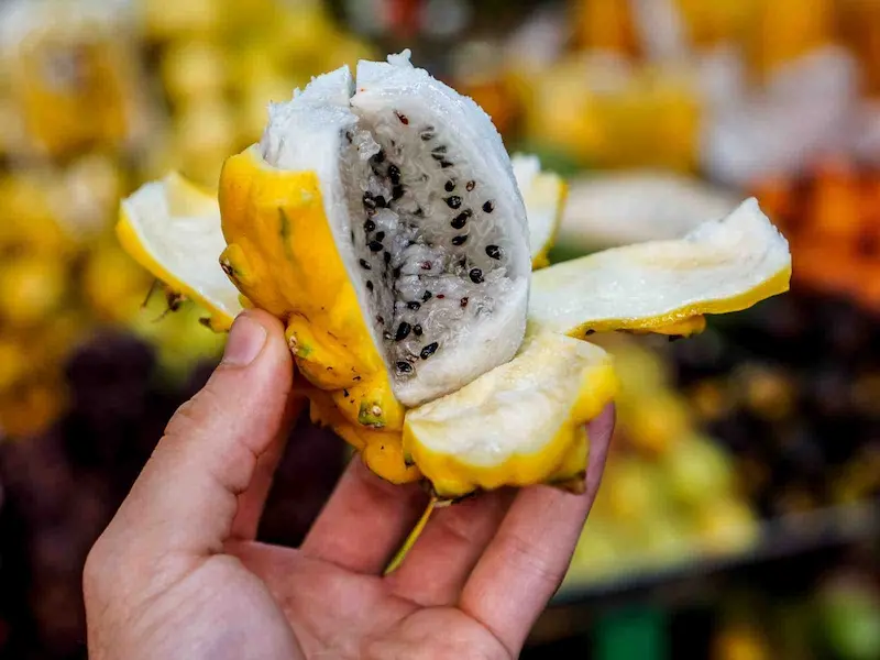 Voyage insolite en Colombie sur mesure - paloquemao