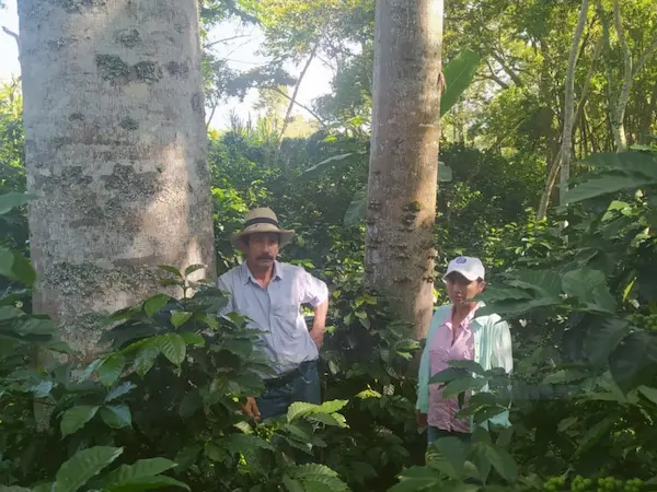 Circuit en Colombie dormir chez l’habitant - santa helena