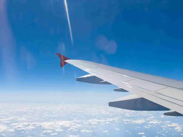 Circuit flore et faune tropicale Colombie - depart