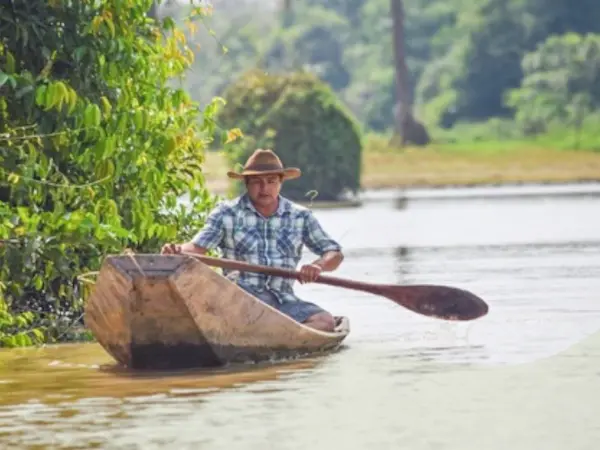 Circuit flore et faune tropicale Colombie - guanapalo
