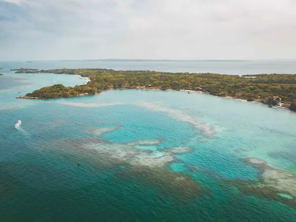 Circuit flore et faune tropicale Colombie - iles rosario