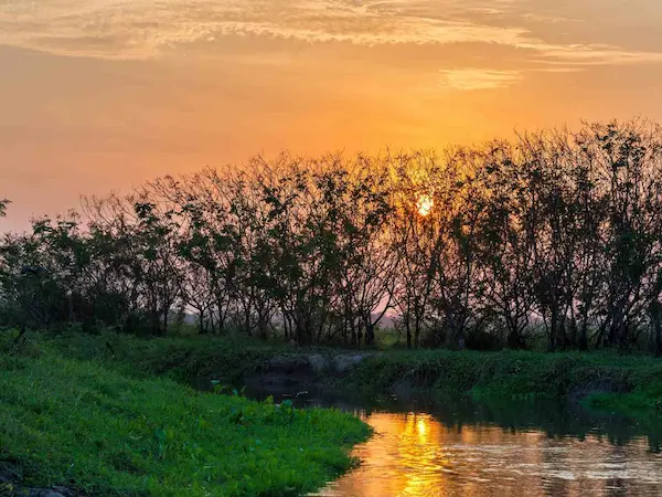 Circuit flore et faune tropicale Colombie - mompox