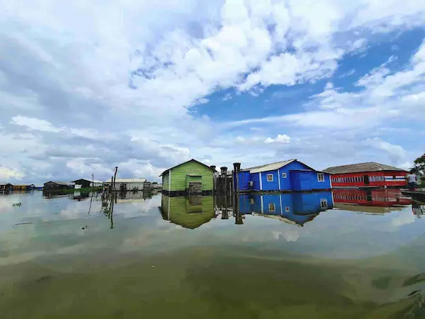 Circuit flore et faune tropicale Colombie - nueva venecia