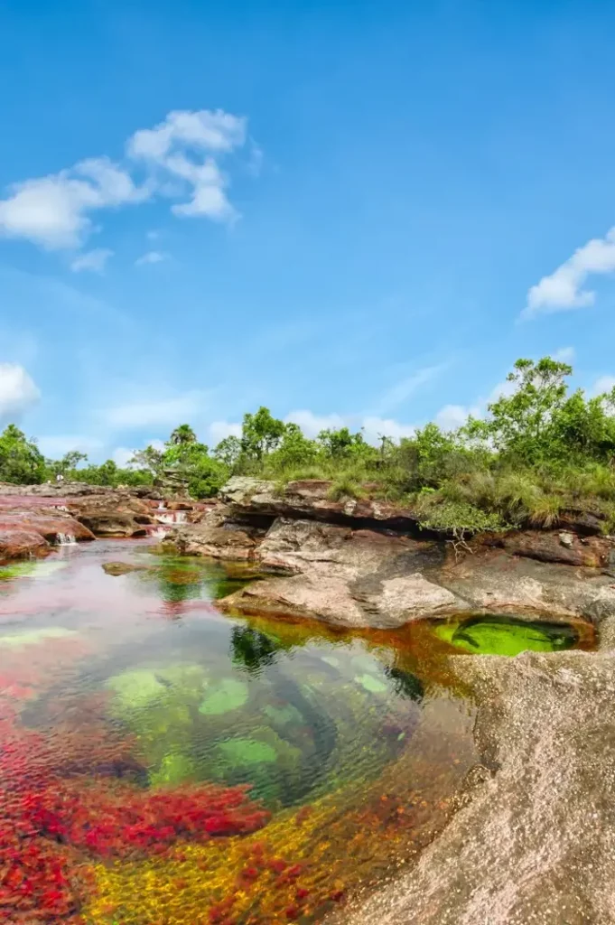 Circuit organisé Cano Cristales la rivière aux 5 couleurs