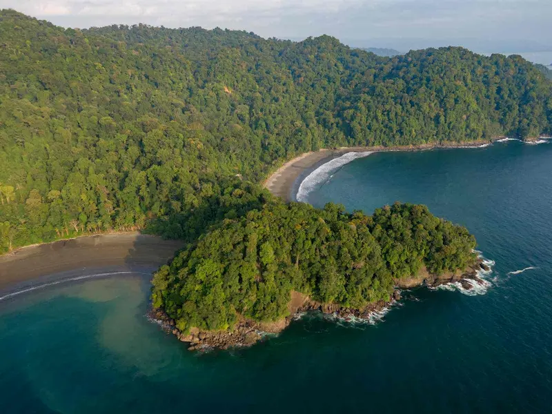 circuit organisé d’observation des baleines à bosse en Colombie
