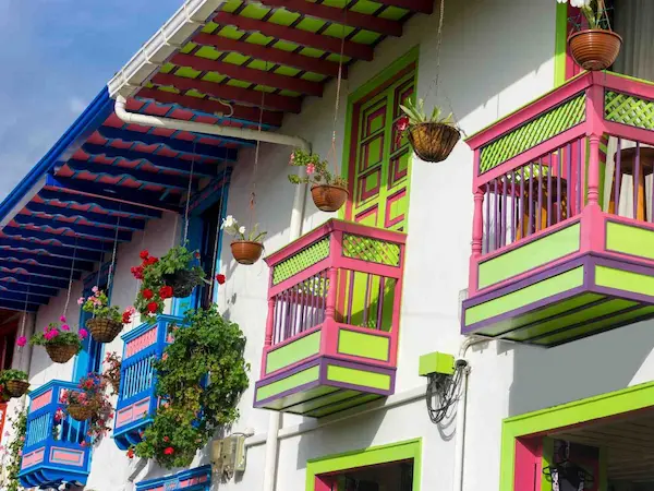 Circuit trek Los Nevados Colombie - salento