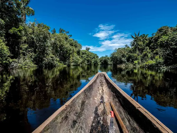 Séjour organisé en Amazonie colombienne - Jungle amazonienne