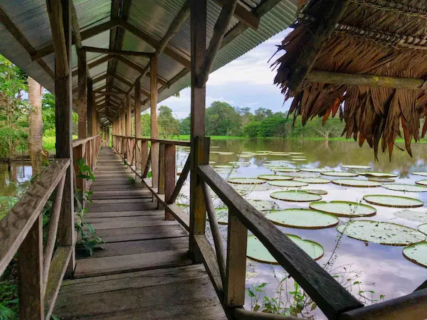 Sejour organise en Amazonie colombienne - retour