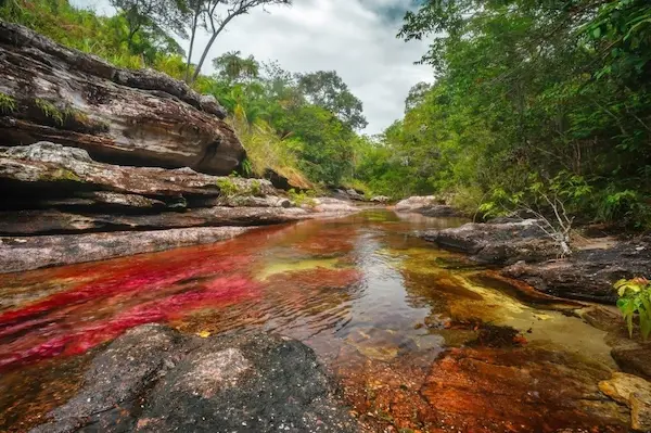 Voyage hors des sentiers battus en Colombie - cano cristales