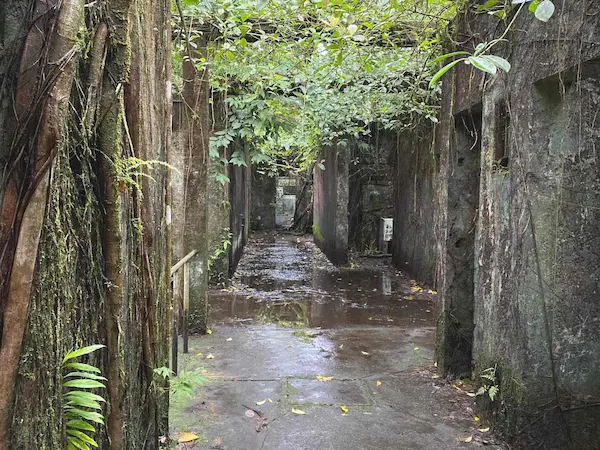 Voyage hors des sentiers battus en Colombie - ile gorgona prison