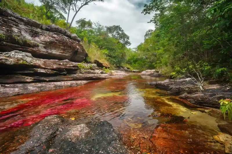 Caño Cristales : tout savoir avant de visiter la rivière aux cinq couleurs Caño Cristales : tout savoir avant de visiter la rivière aux cinq couleurs