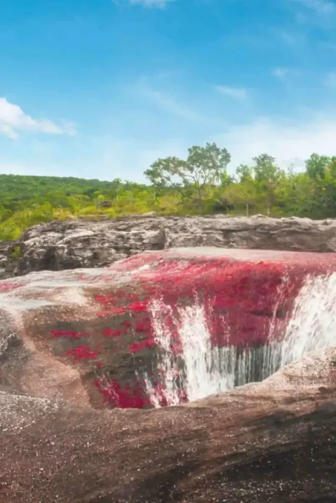 Les activités à Caño Cristales Les activités à Caño Cristales