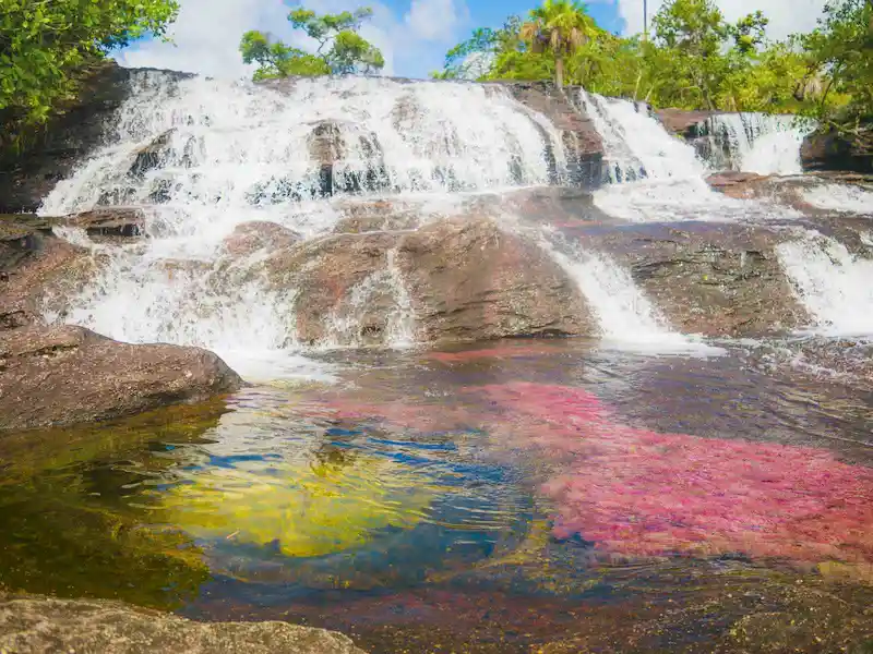 Comment se rendre à Caño Cristales ? Comment se rendre à Caño Cristales ?