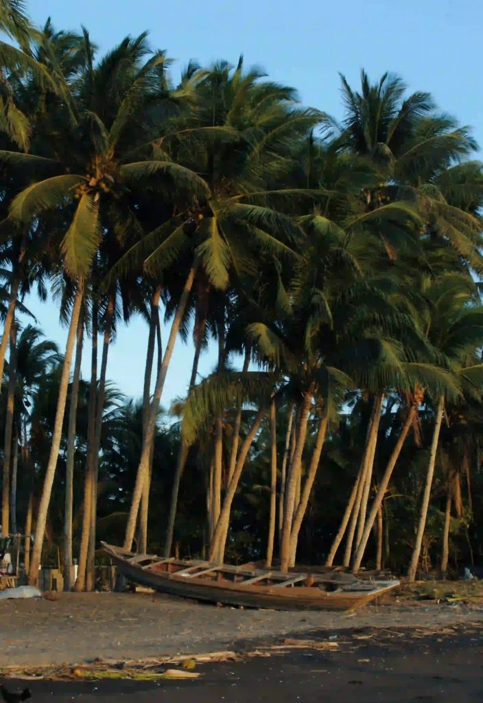 Colombia's Pacific Coast